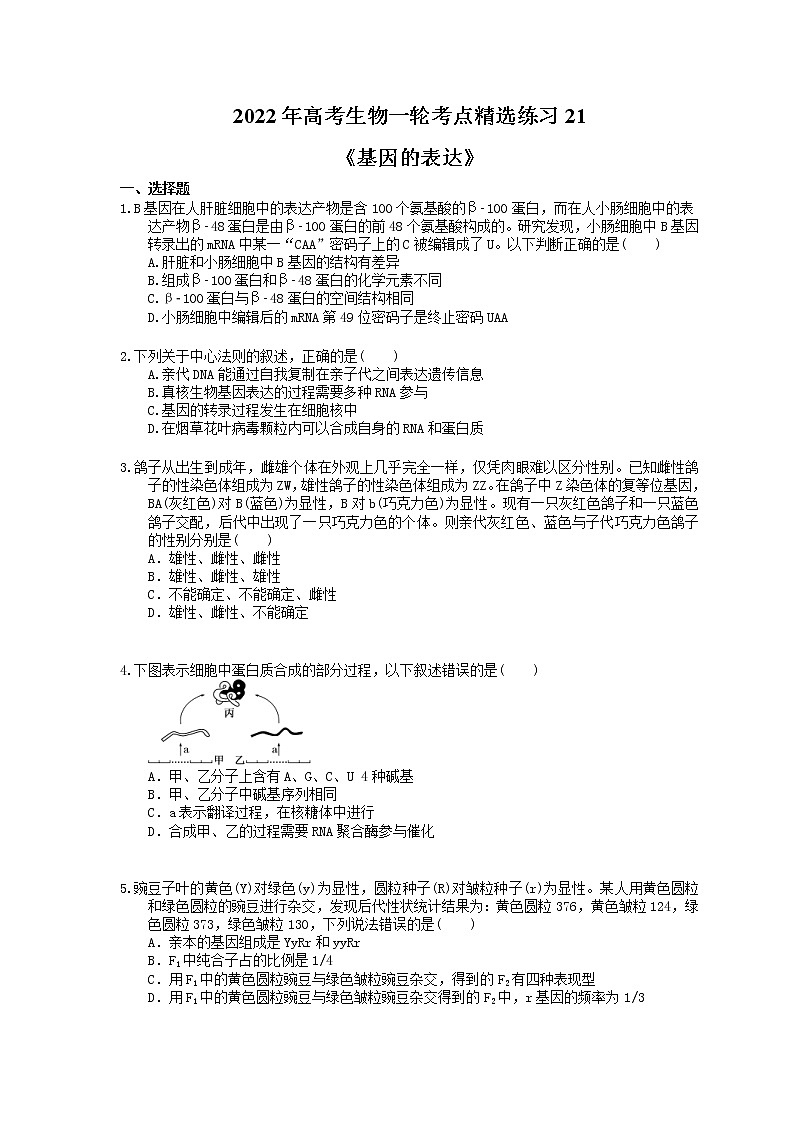 2022年高考生物一轮考点精选练习21《基因的表达》(含详解)第1页