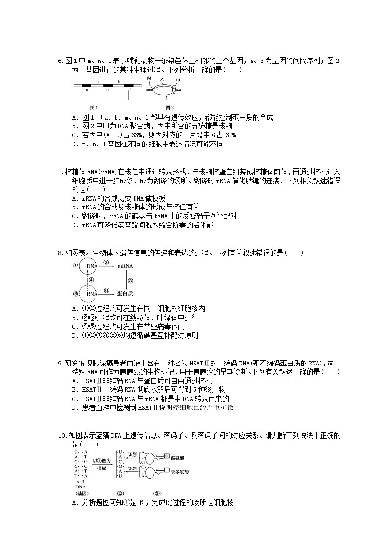2022年高考生物一轮考点精选练习21《基因的表达》(含详解)第2页