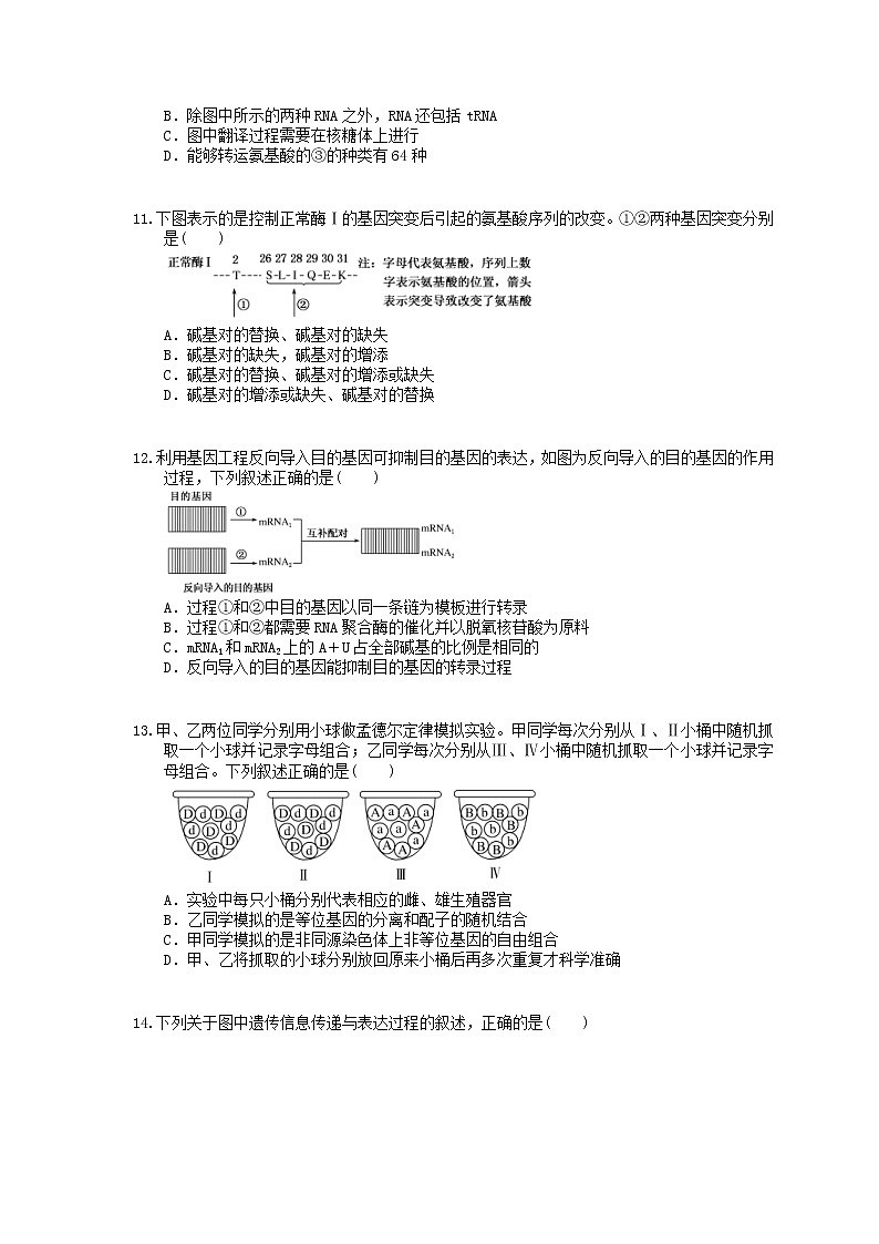 2022年高考生物一轮考点精选练习21《基因的表达》(含详解)第3页