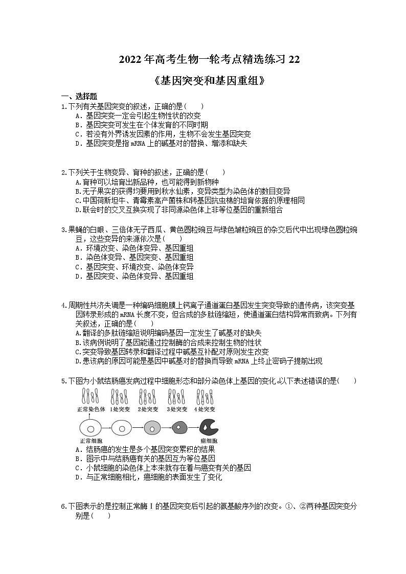 2022年高考生物一轮考点精选练习22《基因突变和基因重组》(含详解)第1页