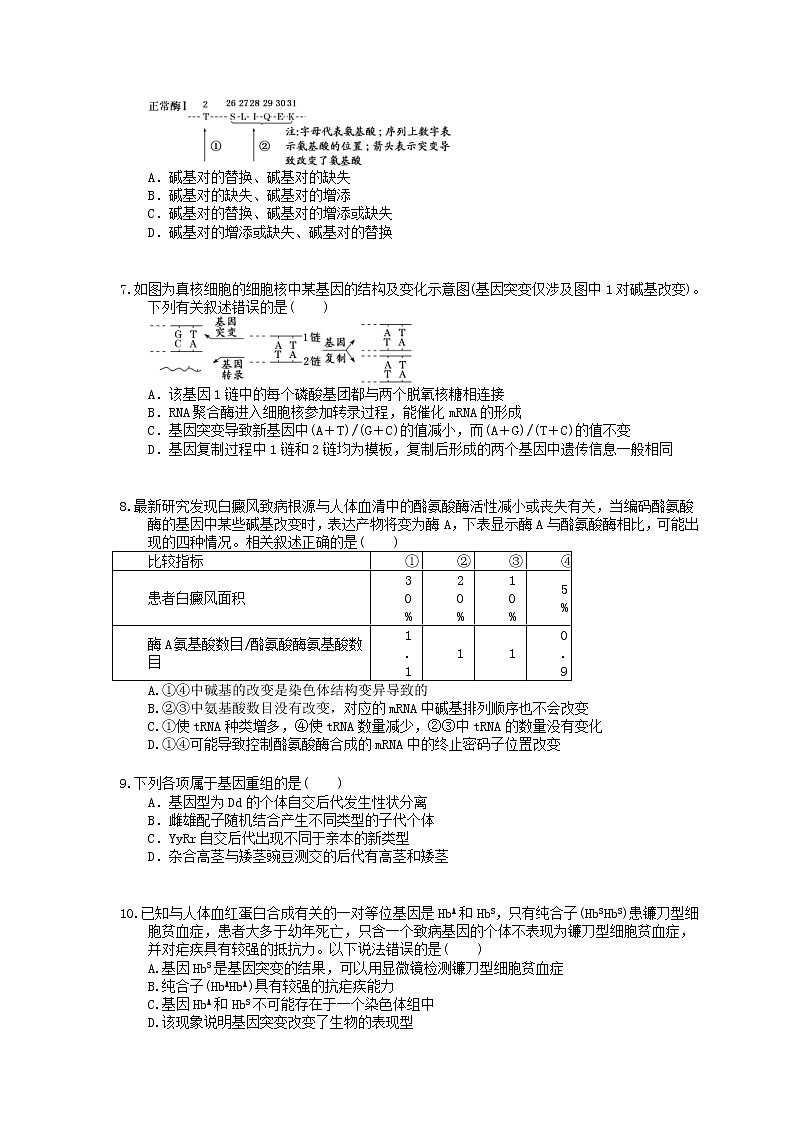2022年高考生物一轮考点精选练习22《基因突变和基因重组》(含详解)第2页