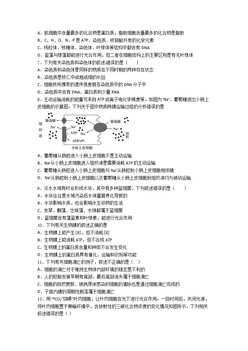 山东省实验中学2021年高一上学期期末考试生物试题试卷第2页