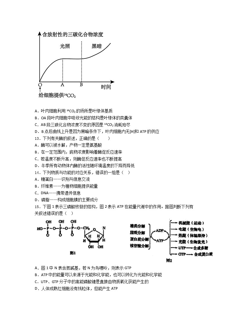 山东省实验中学2021年高一上学期期末考试生物试题试卷第3页