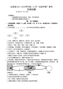 山东省2021-2022学年高二11月“山东学情”期中联考生物试题含答案