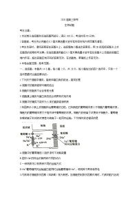 山东省菏泽市2020届高三联合模拟考试（一模）生物试题 Word版含答案