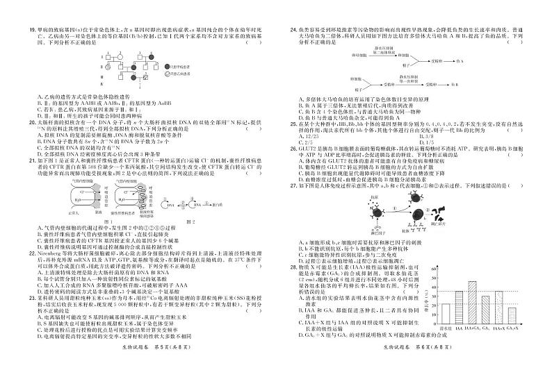福建省漳州市2020届高三毕业班第一次教学质量检测生物试卷（PDF版）03