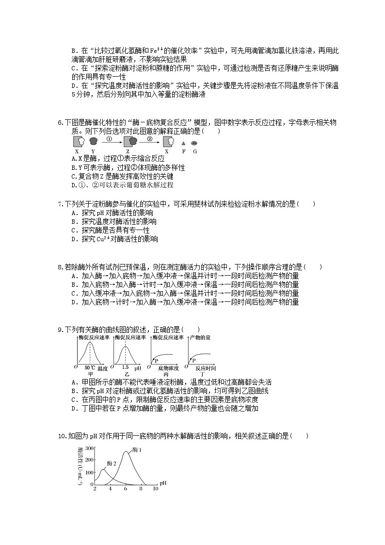 2022年高考生物一轮考点精选练习08《降低化学反应活化能的酶》(含详解)第2页