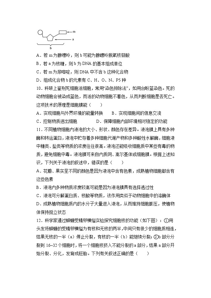 期末测试卷02-2021-2022学年高一生物上学期期末诊断性测试（人教版2019必修1）(原卷版)第3页