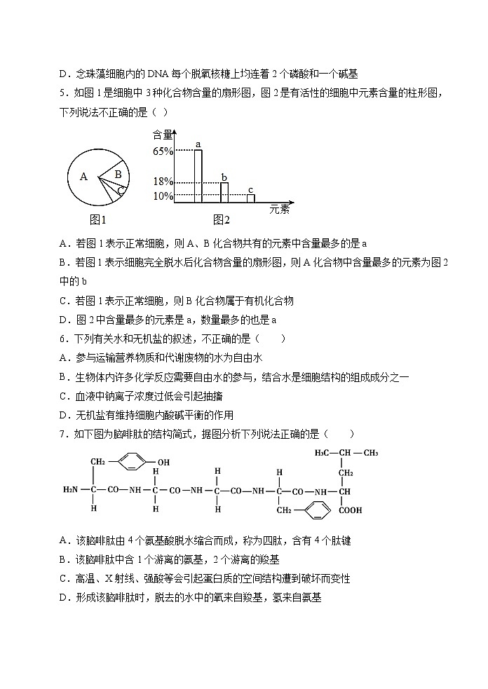 期末测试卷04-2021-2022学年高一生物上学期期末诊断性测试（人教版2019必修1）(原卷版)第2页