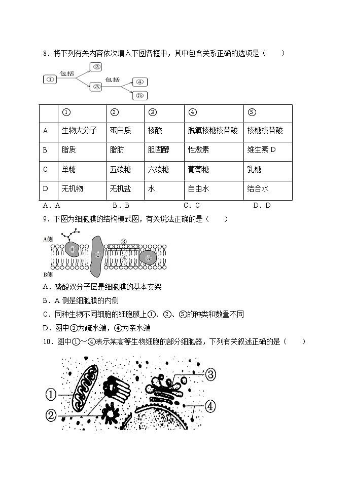 期末测试卷04-2021-2022学年高一生物上学期期末诊断性测试（人教版2019必修1）(原卷版)第3页