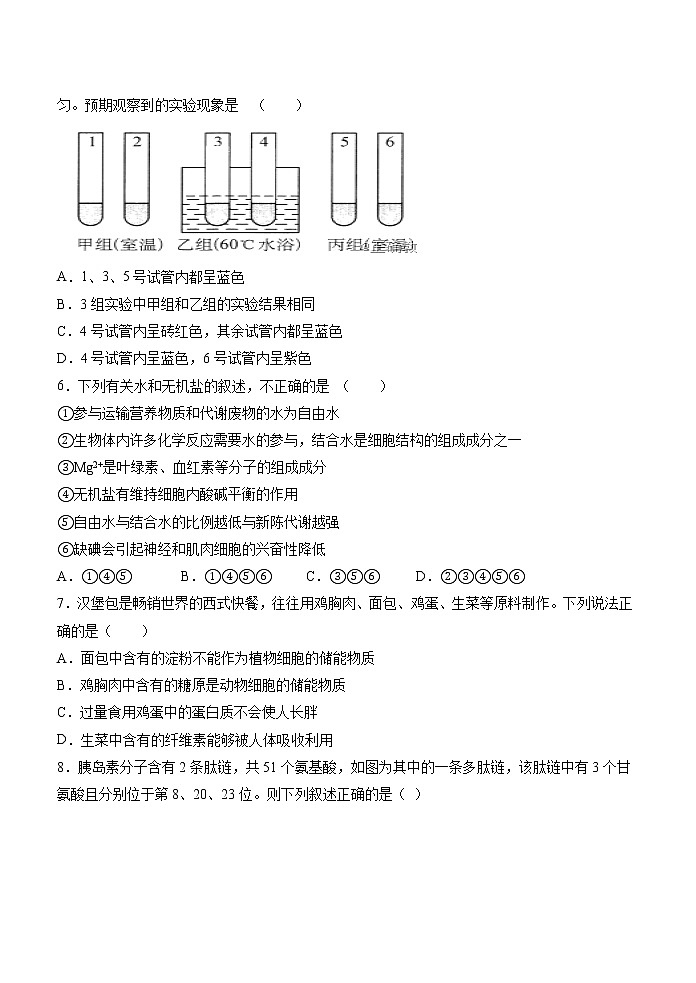 期末测试卷05-2021-2022学年高一生物上学期期末诊断性测试（人教版2019必修1）(原卷版)第2页