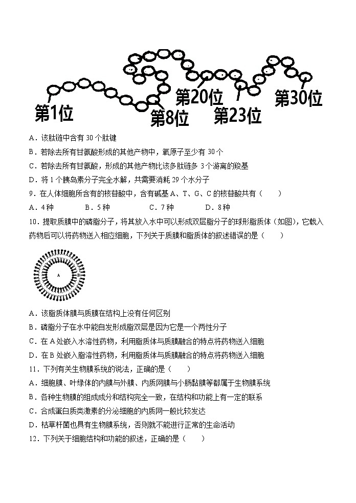 期末测试卷05-2021-2022学年高一生物上学期期末诊断性测试（人教版2019必修1）(原卷版)第3页