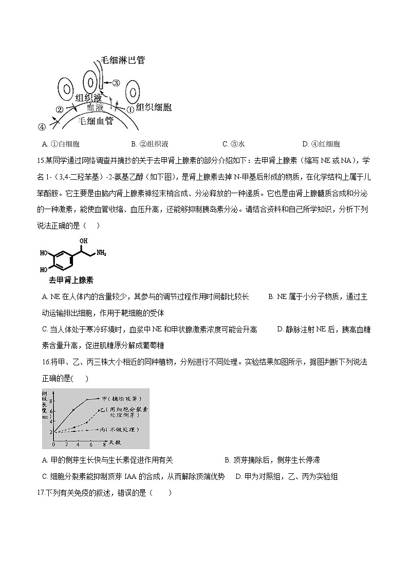 2021-2022学年高二生物上学期期末测试卷01（人教版2019选择性必修1）（原卷版）第3页