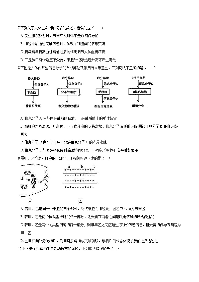 2021-2022学年高二生物上学期期末测试卷04（人教版2019选择性必修1）（原卷版）第2页