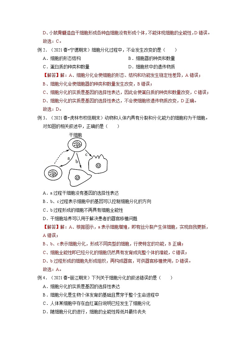 专题12 细胞的分化、衰老和死亡（知识点串讲）-2021-2022学年高一生物上学期期末考点大串讲（人教版2019必修1）学案02