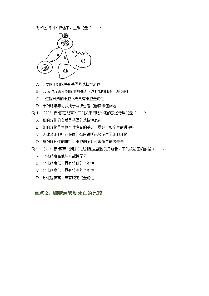 专题12 细胞的分化、衰老和死亡（知识点串讲）-2021-2022学年高一生物上学期期末考点大串讲（人教版2019必修1）学案02
