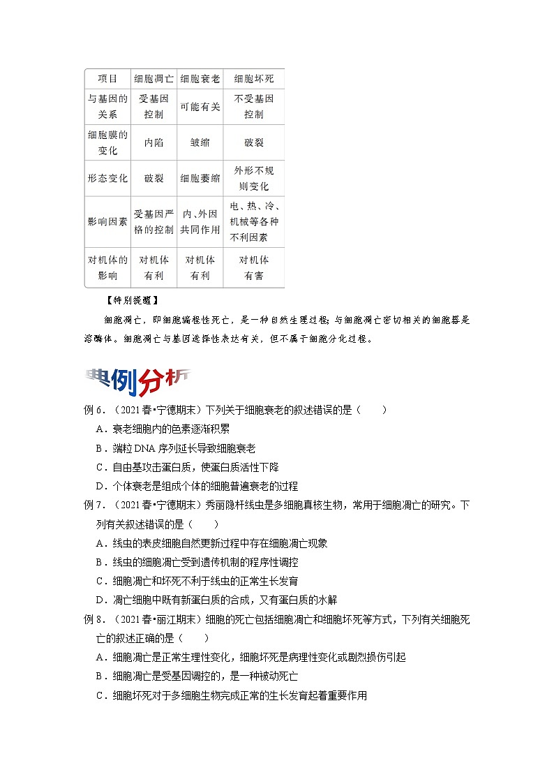 专题12 细胞的分化、衰老和死亡（知识点串讲）-2021-2022学年高一生物上学期期末考点大串讲（人教版2019必修1）学案03
