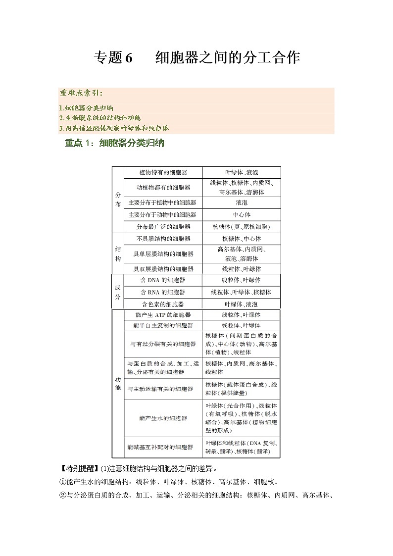 专题06 细胞器之间的分工合作（解析版）-2021-2022学年上学期高一生物期末复习之重难点突破（人教版2019必修1）第1页