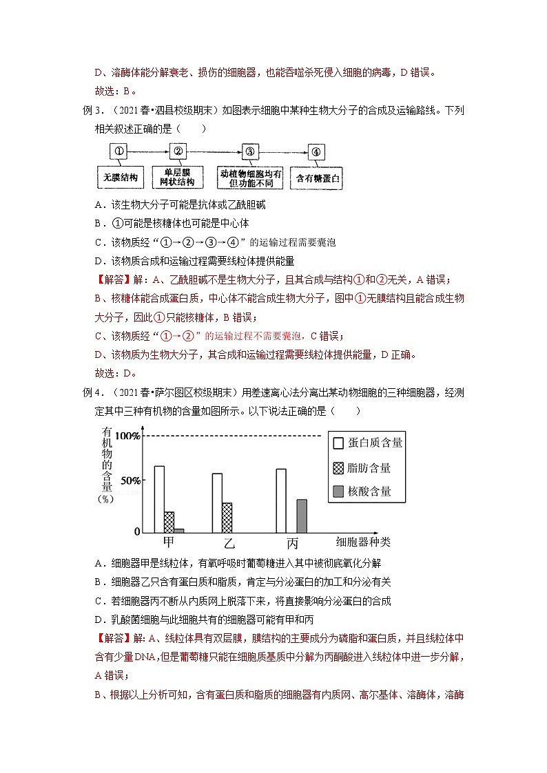 专题06 细胞器之间的分工合作（解析版）-2021-2022学年上学期高一生物期末复习之重难点突破（人教版2019必修1）第3页