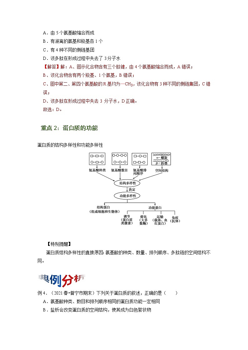专题03 蛋白质是生命活动的主要承担者（知识点串讲）-2021-2022学年高一生物上学期期末考点大串讲（人教版2019必修1）学案03
