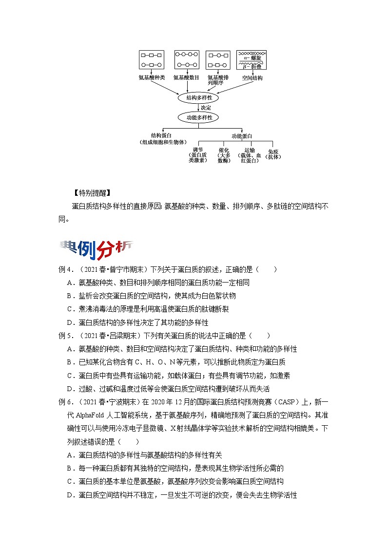 专题03 蛋白质是生命活动的主要承担者（知识点串讲）-2021-2022学年高一生物上学期期末考点大串讲（人教版2019必修1）学案03