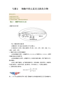 专题02 细胞中的元素及无机化合物（知识点串讲）-2021-2022学年高一生物上学期期末考点大串讲（人教版2019必修1）学案