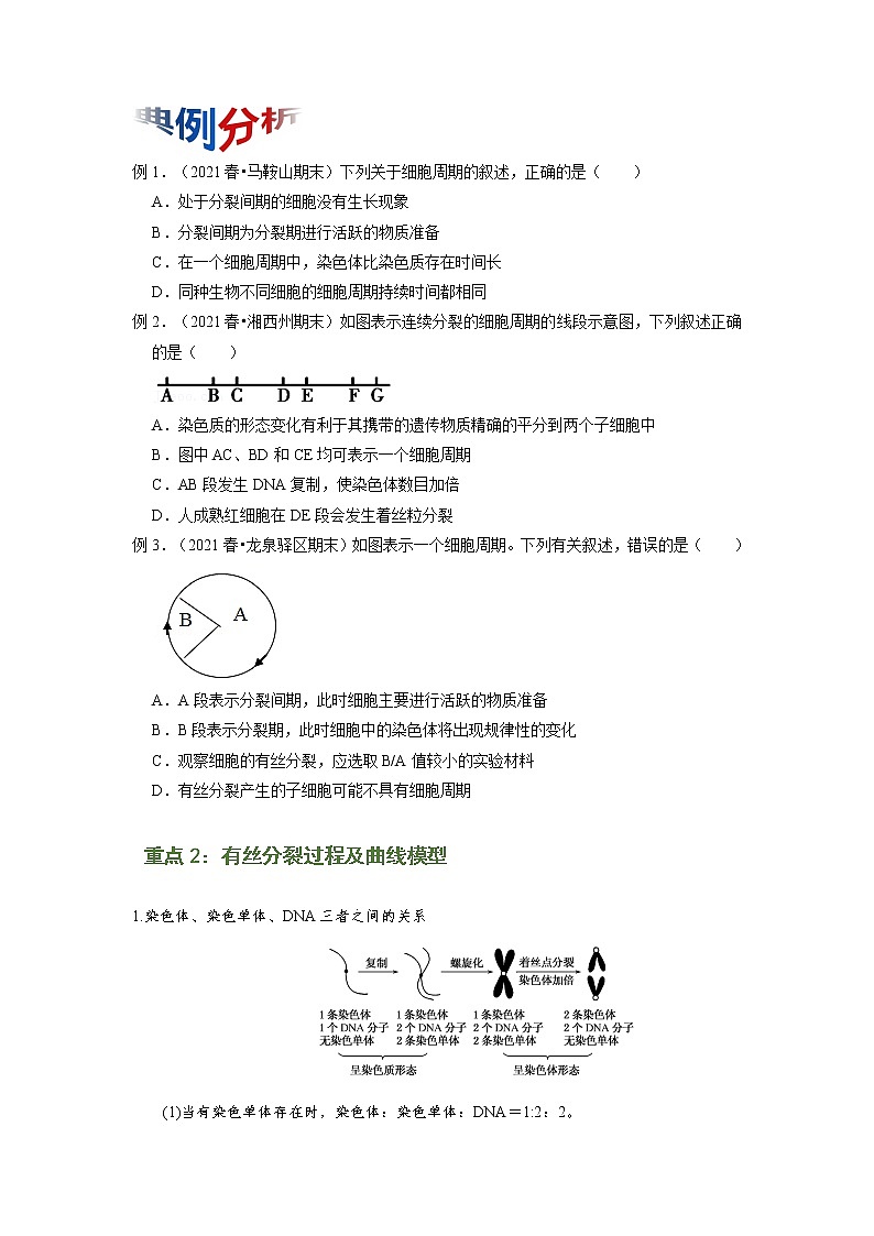 专题11 细胞的增殖（知识点串讲）-2021-2022学年高一生物上学期期末考点大串讲（人教版2019必修1）学案02