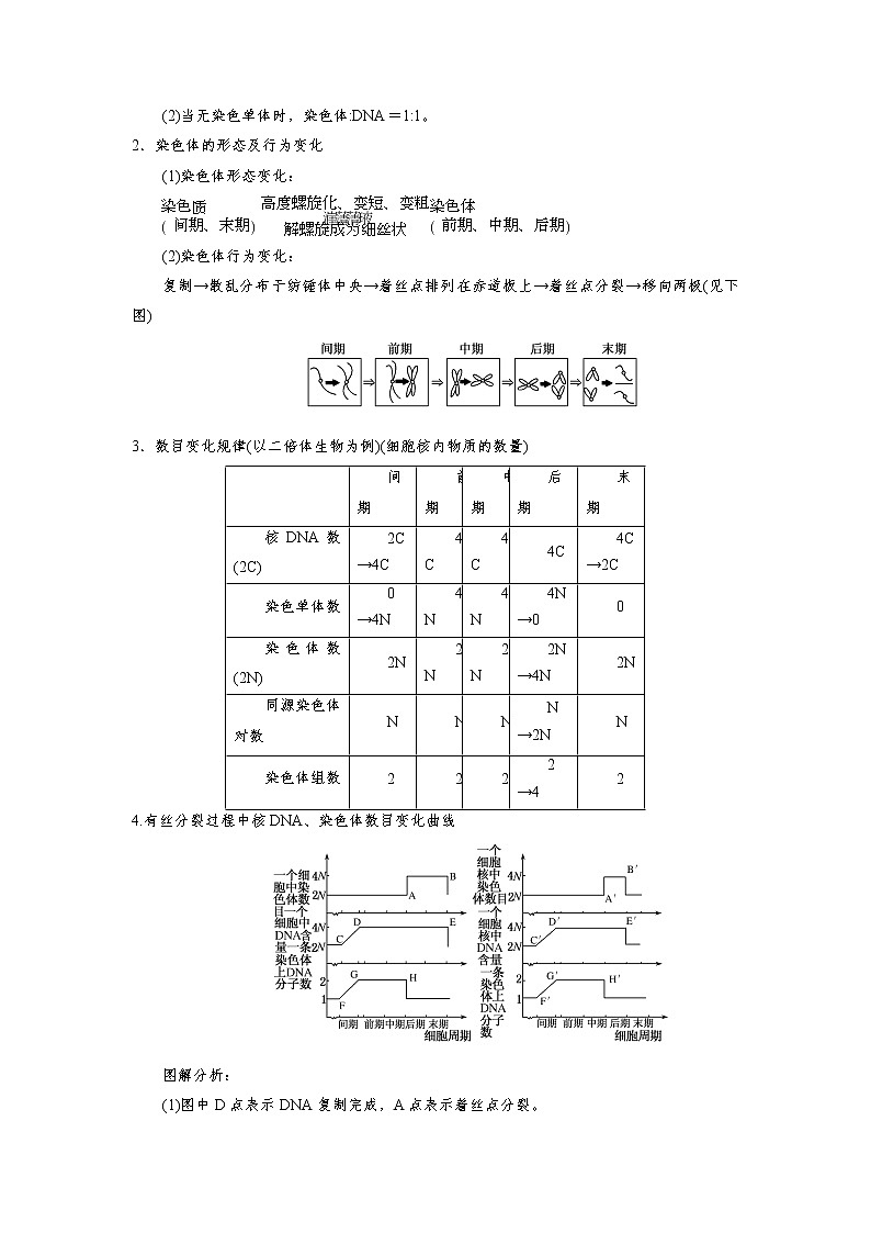 专题11 细胞的增殖（知识点串讲）-2021-2022学年高一生物上学期期末考点大串讲（人教版2019必修1）学案03
