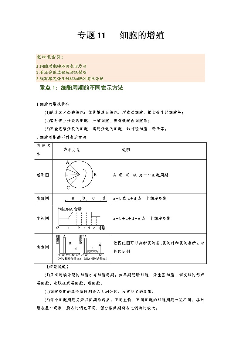 专题11 细胞的增殖（知识点串讲）-2021-2022学年高一生物上学期期末考点大串讲（人教版2019必修1）学案01