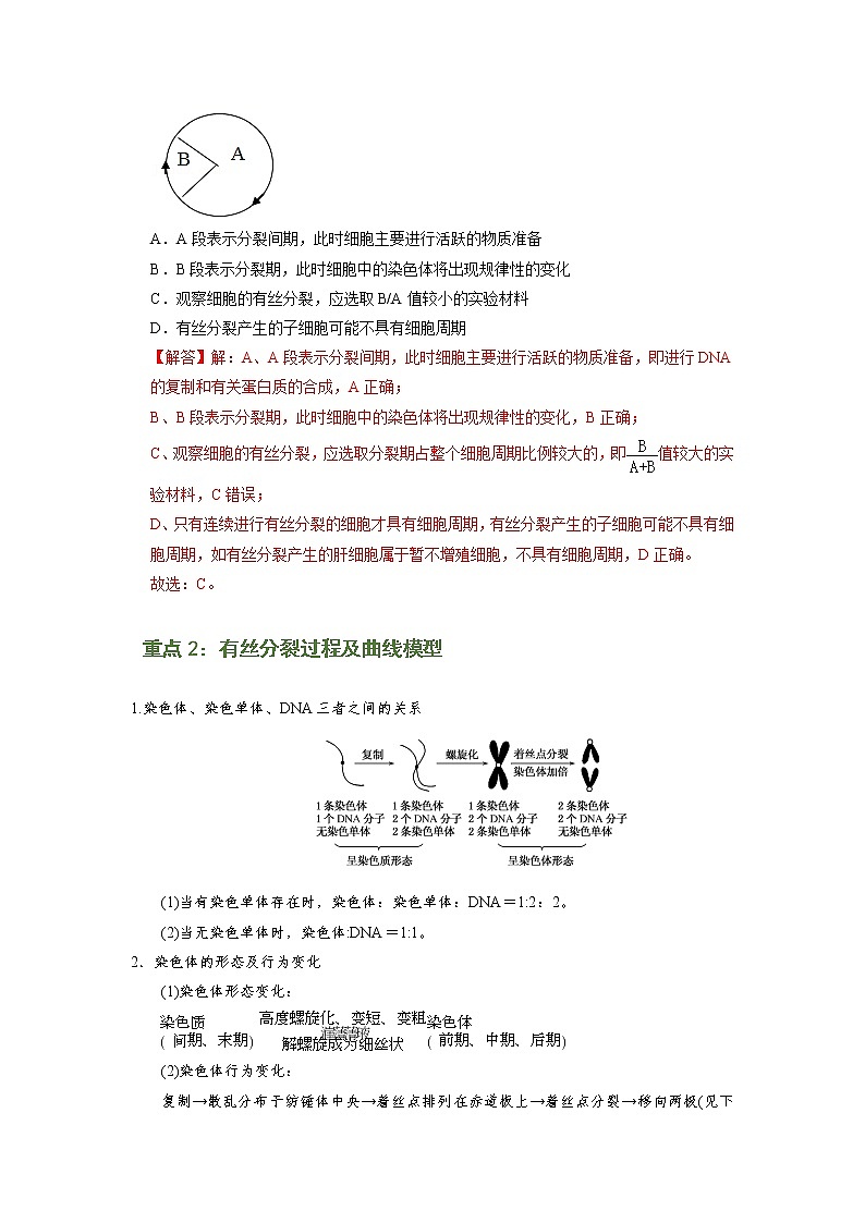 专题11 细胞的增殖（知识点串讲）-2021-2022学年高一生物上学期期末考点大串讲（人教版2019必修1）学案03