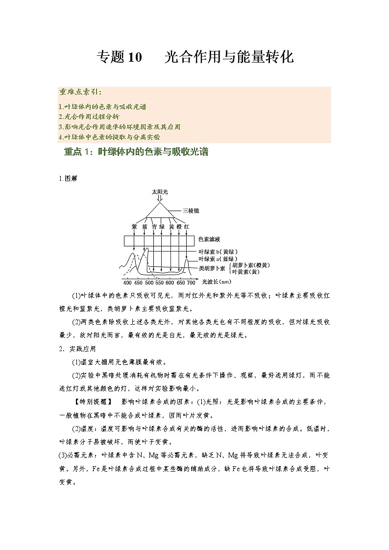 专题10 光合作用与能量转化（知识点串讲）-2021-2022学年高一生物上学期期末考点大串讲（人教版2019必修1）（解析版）第1页