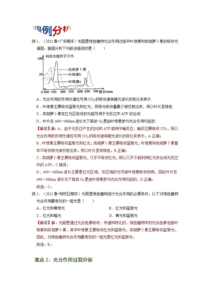 专题10 光合作用与能量转化（知识点串讲）-2021-2022学年高一生物上学期期末考点大串讲（人教版2019必修1）（解析版）第2页