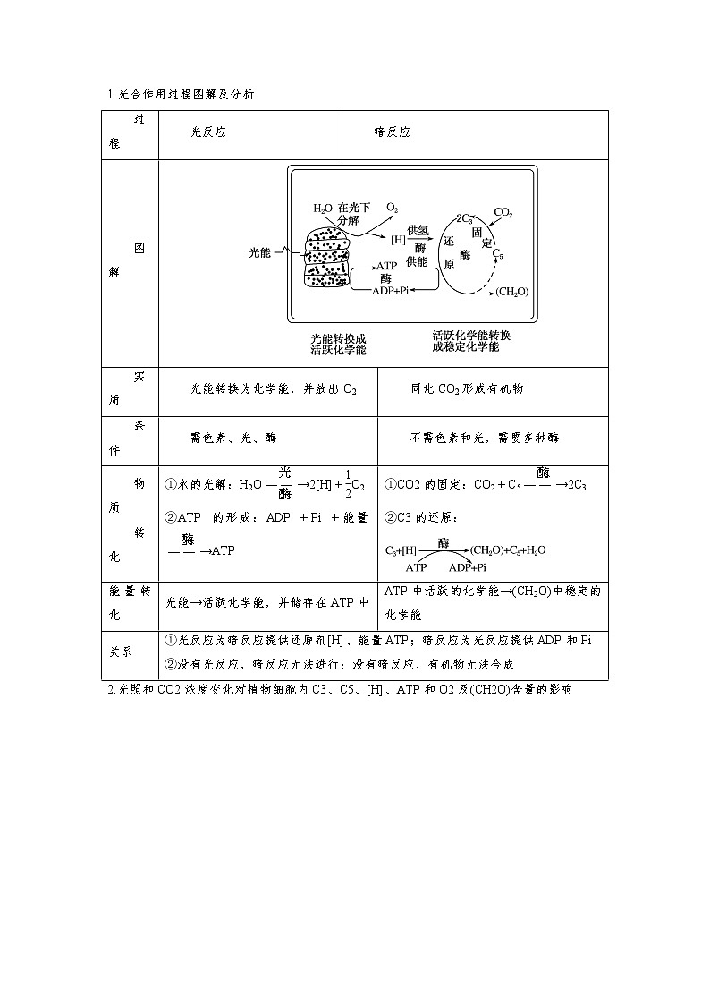 专题10 光合作用与能量转化（知识点串讲）-2021-2022学年高一生物上学期期末考点大串讲（人教版2019必修1）（解析版）第3页