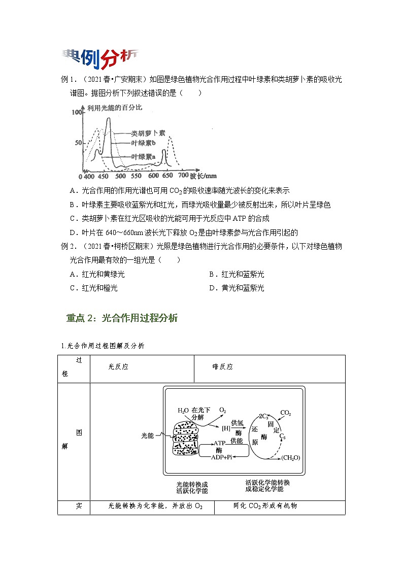 专题10 光合作用与能量转化（知识点串讲）-2021-2022学年高一生物上学期期末考点大串讲（人教版2019必修1）（原卷版）第2页