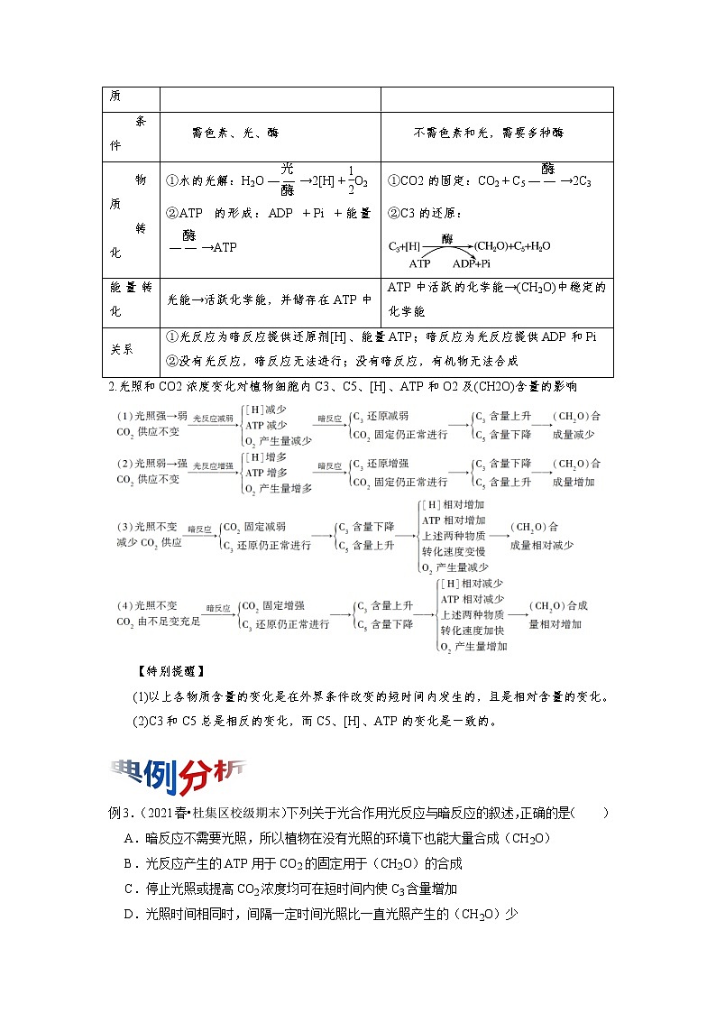 专题10 光合作用与能量转化（知识点串讲）-2021-2022学年高一生物上学期期末考点大串讲（人教版2019必修1）（原卷版）第3页