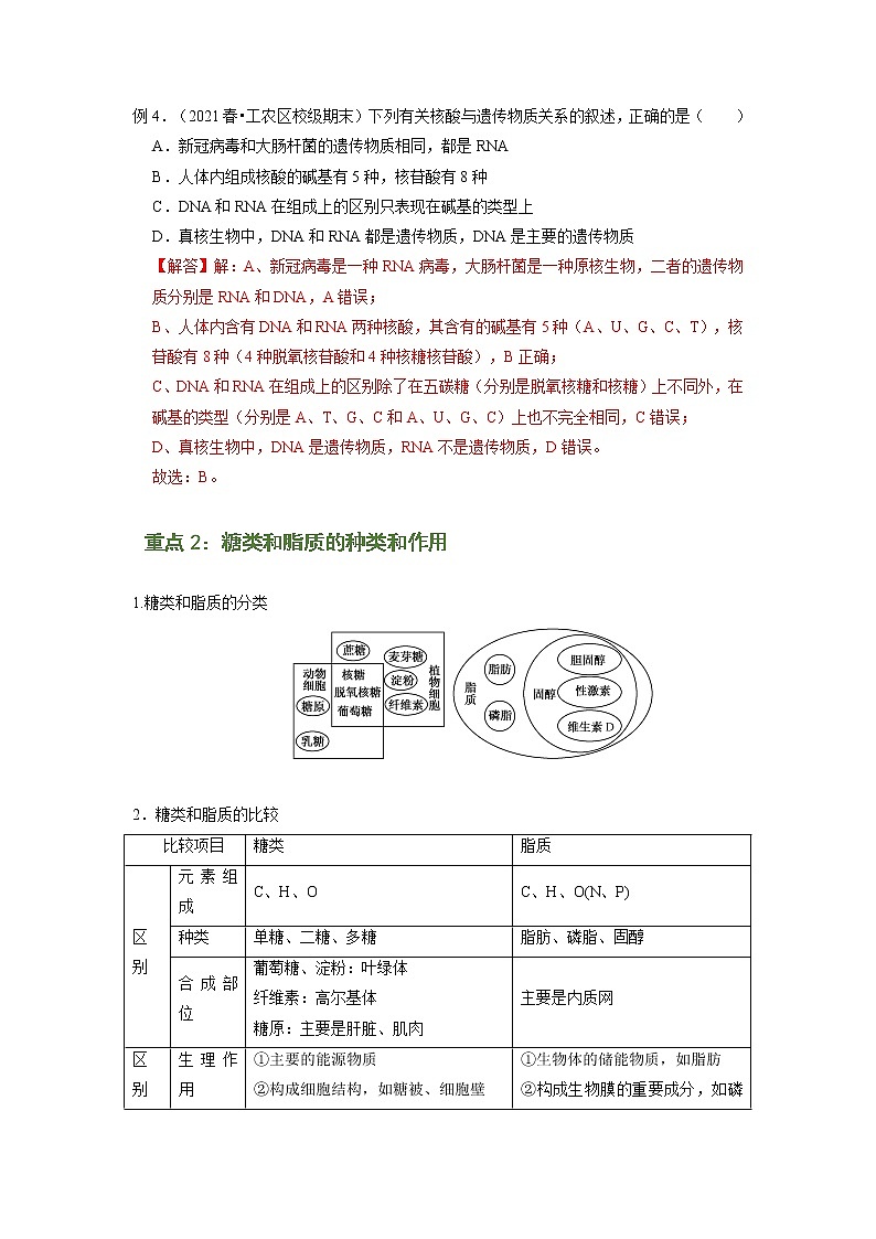 专题04 核酸、糖类和脂质（知识点串讲）-2021-2022学年高一生物上学期期末考点大串讲（人教版2019必修1）学案03