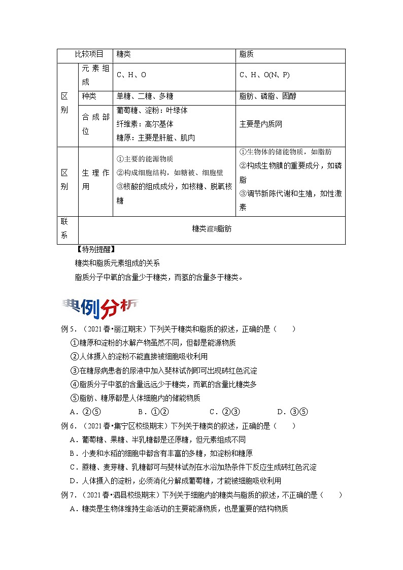 专题04 核酸、糖类和脂质（知识点串讲）-2021-2022学年高一生物上学期期末考点大串讲（人教版2019必修1）学案03