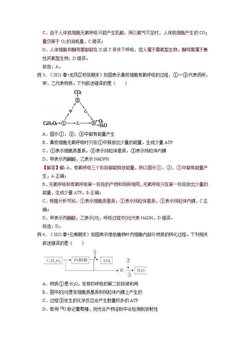 专题09 细胞呼吸的原理和应用（知识点串讲）-2021-2022学年高一生物上学期期末考点大串讲（人教版2019必修1）学案03