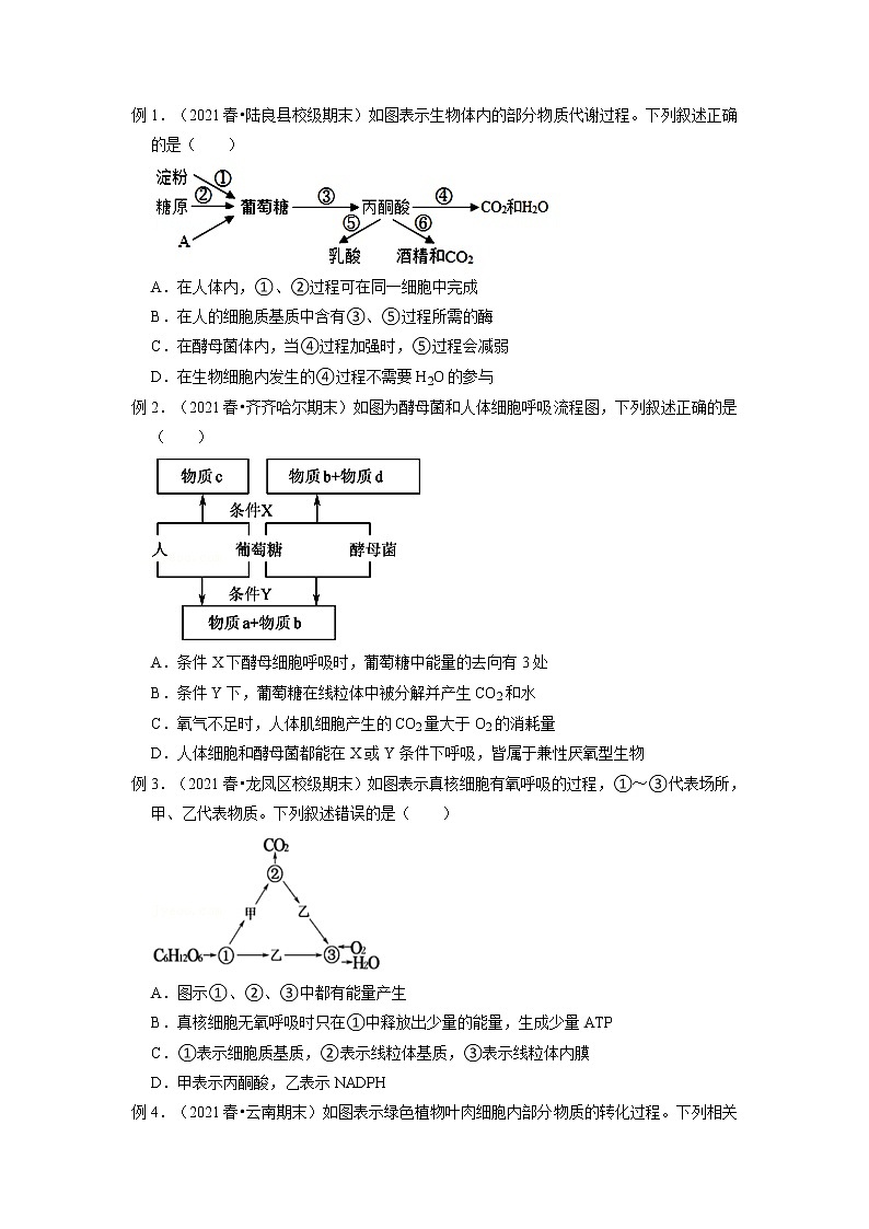 专题09 细胞呼吸的原理和应用（知识点串讲）-2021-2022学年高一生物上学期期末考点大串讲（人教版2019必修1）学案02