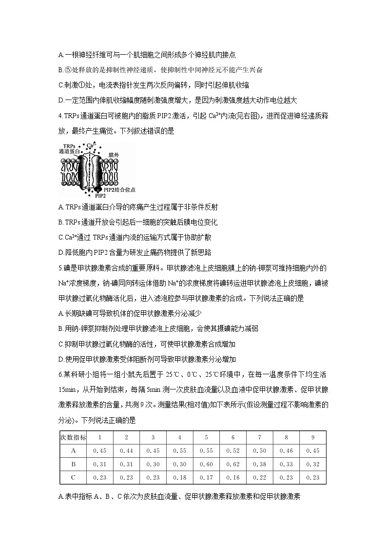安徽省顶尖联盟2021-2022学年高二上学期期中考试生物含答案02