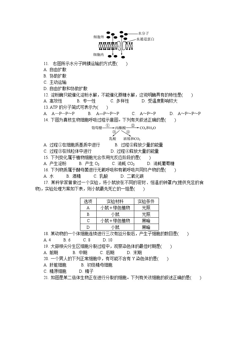 江苏省盐城市2021-2022学年高二上学期学业水平合格性考试模拟试卷（12月）生物含答案02