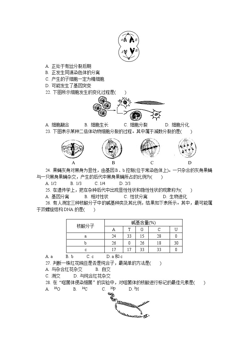 江苏省盐城市2021-2022学年高二上学期学业水平合格性考试模拟试卷（12月）生物含答案03