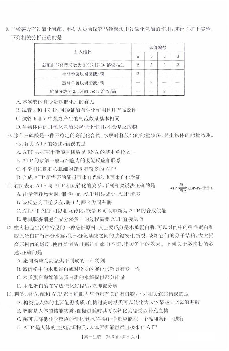河北省百所学校大联考2021-2022学年高一上学期12月联考生物试题扫描版含答案第3页