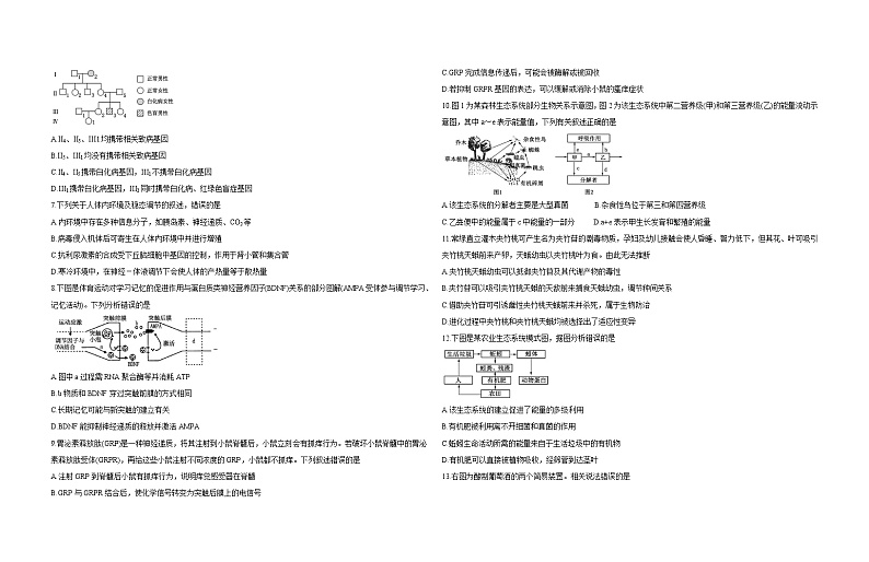 精品解析：山东省泰安市2020年高三一轮检测（一模）生物试题含答案02