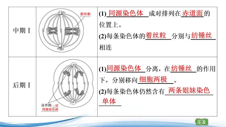 减数分裂产生精子或卵细胞PPT课件免费下载-教习网|课件下载