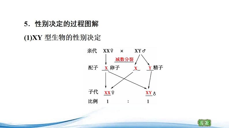 必修2生物新教材苏教版14第2课时性别决定和伴性遗传pptx_8第6页