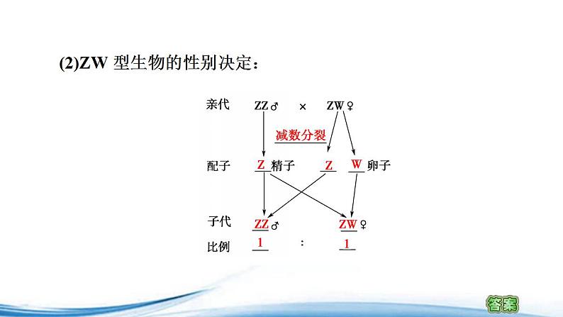 必修2生物新教材苏教版14第2课时性别决定和伴性遗传pptx_8第7页