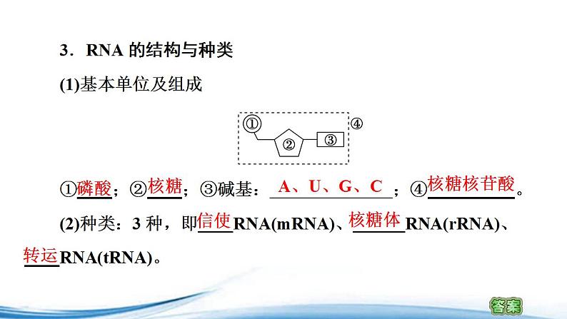 必修2生物新教材苏教版23第1课时DNA分子通过RNA指导蛋白质的合成pptx_15第4页