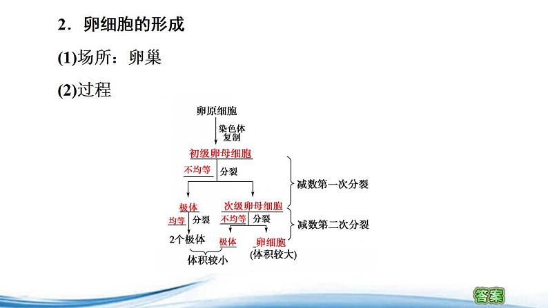 必修2生物新教材苏教版11第2课时哺乳动物生殖细胞的形成、受精作用孕育新的生命p_6课件PPT第5页