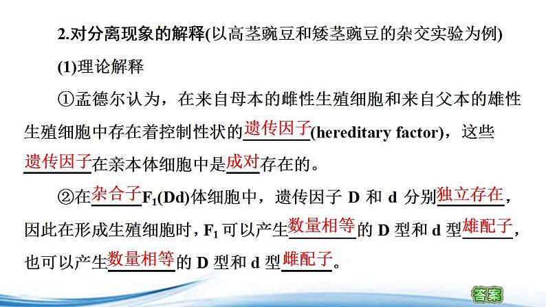 分离定律PPT课件免费下载04